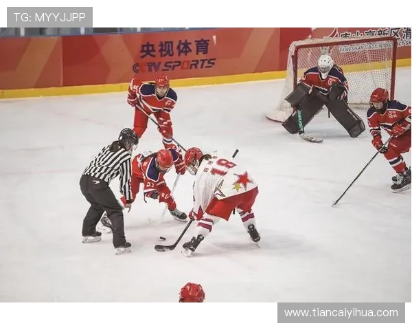 体育联赛品（体育职业联赛）sports