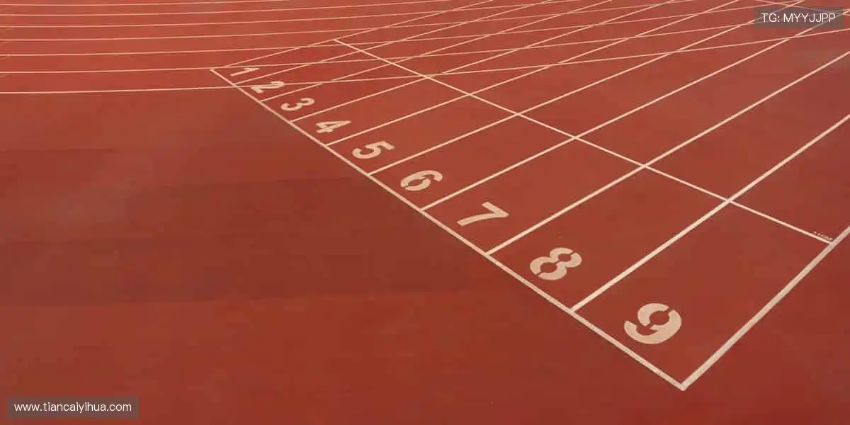 🏀 挑战极限，每一球都值得欢呼！