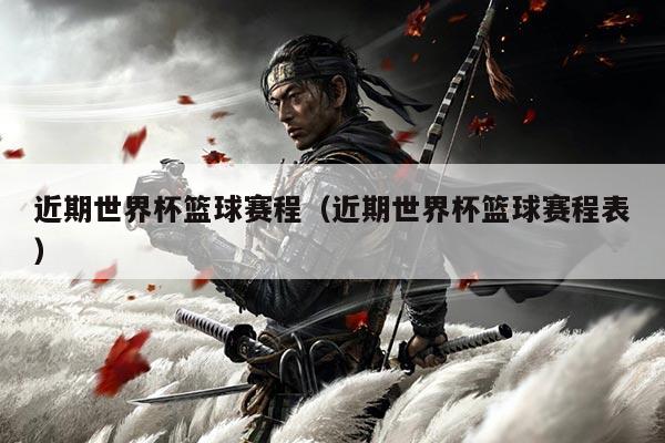 近期世界杯篮球赛程（近期世界杯篮球赛程表）