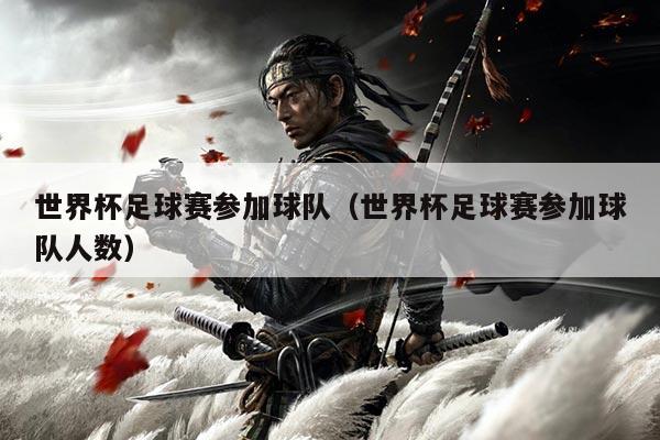 世界杯足球赛参加球队（世界杯足球赛参加球队人数）