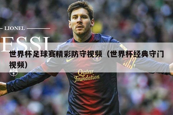 世界杯足球赛精彩防守视频（世界杯经典守门视频）