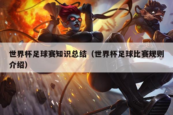 世界杯足球赛知识总结(世界杯足球比赛规则介绍)