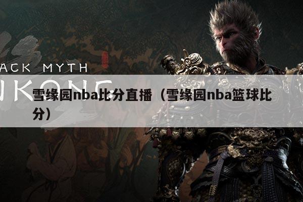 雪缘园nba比分直播(雪缘园nba篮球比分)