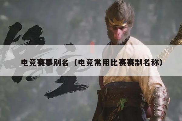 电竞赛事别名(电竞常用比赛赛制名称)