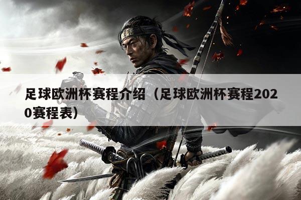 足球欧洲杯赛程介绍（足球欧洲杯赛程2020赛程表）