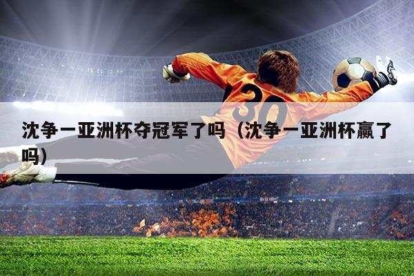 沈争一亚洲杯夺冠军了吗(沈争一亚洲杯赢了吗)