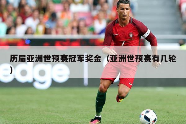 历届亚洲世预赛冠军奖金(亚洲世预赛有几轮)
