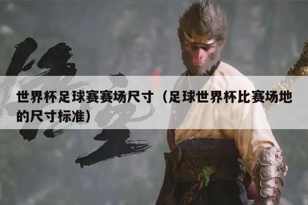 世界杯足球赛赛场尺寸(足球世界杯比赛场地的尺寸标准)