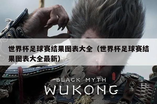 世界杯足球赛结果图表大全(世界杯足球赛结果图表大全最新)