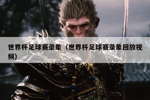 世界杯足球赛录象(世界杯足球赛录象回放视频)