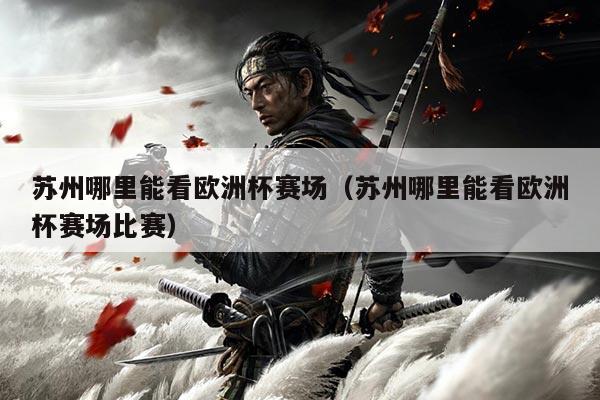 苏州哪里能看欧洲杯赛场（苏州哪里能看欧洲杯赛场比赛）