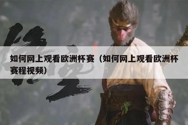 如何网上观看欧洲杯赛（如何网上观看欧洲杯赛程视频）