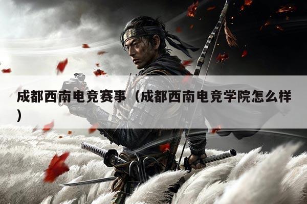 成都西南电竞赛事（成都西南电竞学院怎么样）