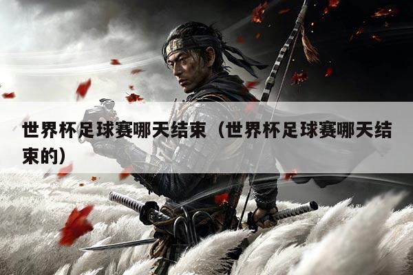 世界杯足球赛哪天结束(世界杯足球赛哪天结束的)