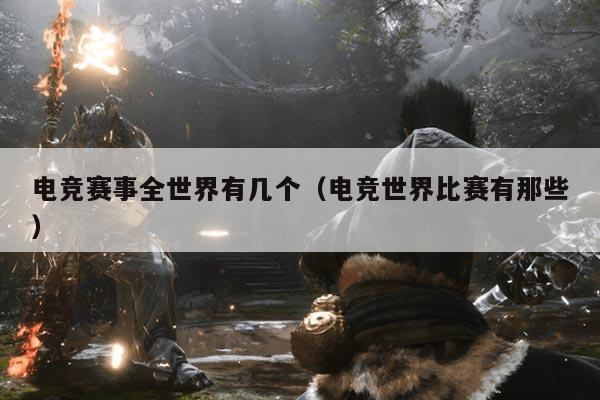 电竞赛事全世界有几个（电竞世界比赛有那些）