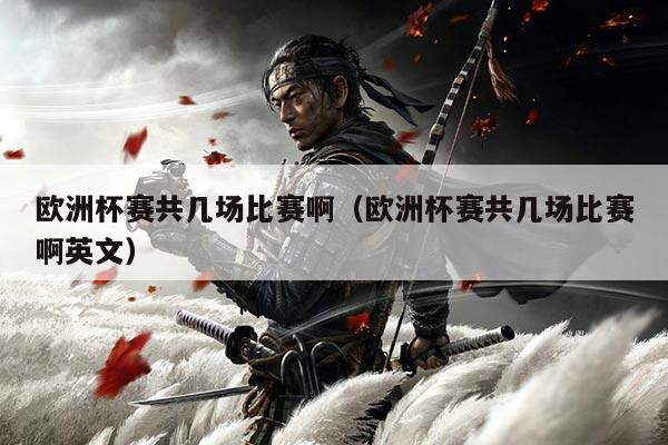 欧洲杯赛共几场比赛啊(欧洲杯赛共几场比赛啊英文)