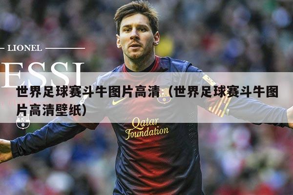 世界足球赛斗牛图片高清(世界足球赛斗牛图片高清壁纸)