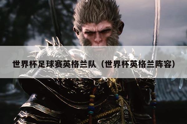 世界杯足球赛英格兰队(世界杯英格兰阵容)