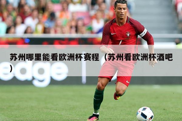 苏州哪里能看欧洲杯赛程（苏州看欧洲杯酒吧）