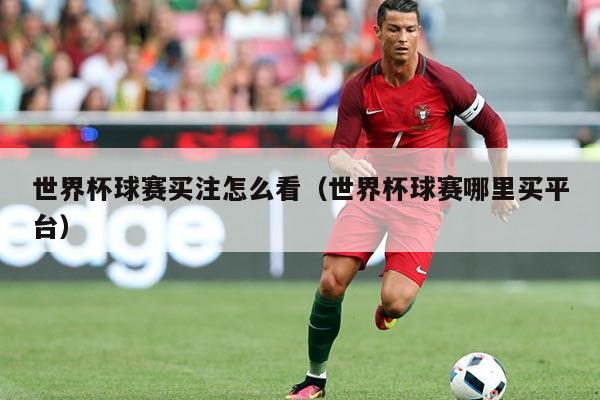 世界杯球赛买注怎么看(世界杯球赛哪里买平台)