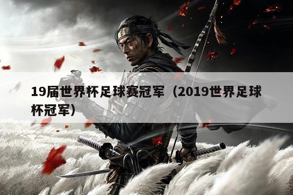 19届世界杯足球赛冠军(2019世界足球杯冠军)