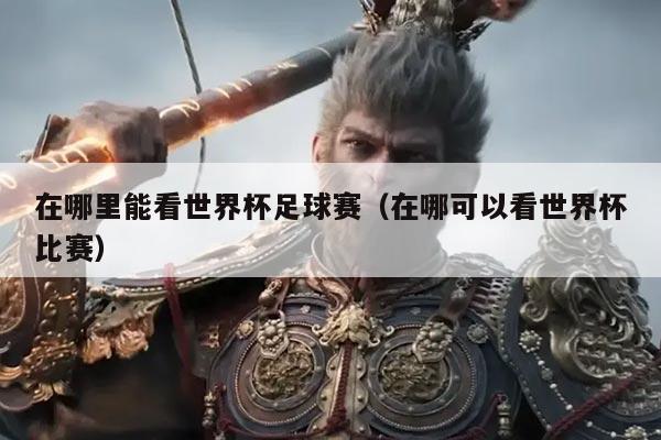 在哪里能看世界杯足球赛（在哪可以看世界杯比赛）