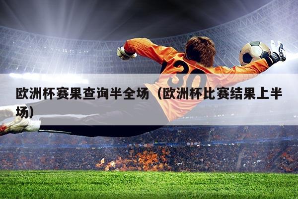 欧洲杯赛果查询半全场（欧洲杯比赛结果上半场）