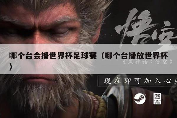 哪个台会播世界杯足球赛(哪个台播放世界杯)