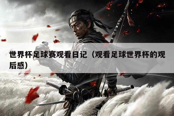 世界杯足球赛观看日记(观看足球世界杯的观后感)