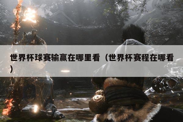 世界杯球赛输赢在哪里看(世界杯赛程在哪看)