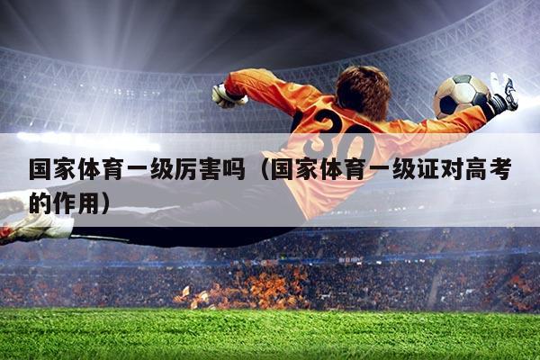 国家体育一级厉害吗(国家体育一级证对高考的作用)