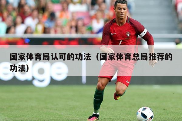 国家体育局认可的功法(国家体育总局推荐的功法)