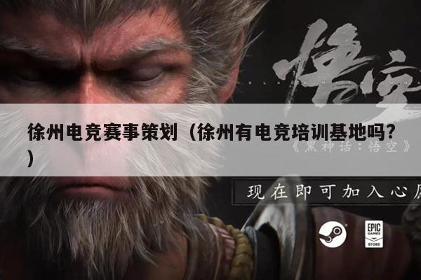 徐州电竞赛事策划(徐州有电竞培训基地吗?)