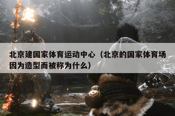 北京建国家体育运动中心(北京的国家体育场因为造型而被称为什么)