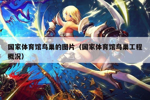 国家体育馆鸟巢的图片(国家体育馆鸟巢工程概况)