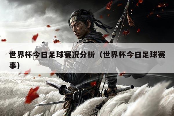 世界杯今日足球赛况分析(世界杯今日足球赛事)