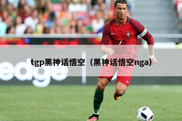tgp黑神话悟空(黑神话悟空nga)