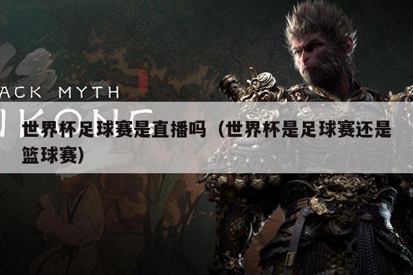 世界杯足球赛是直播吗(世界杯是足球赛还是篮球赛)