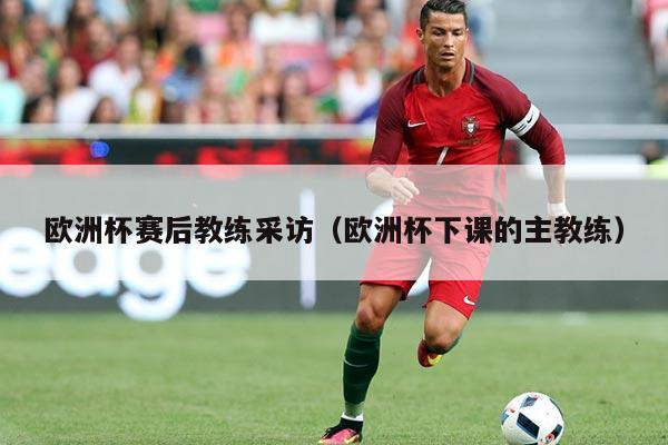 欧洲杯赛后教练采访(欧洲杯下课的主教练)