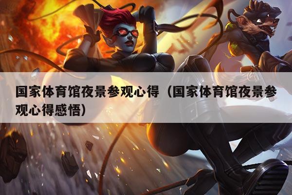国家体育馆夜景参观心得(国家体育馆夜景参观心得感悟)
