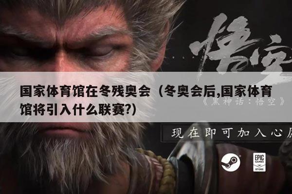 国家体育馆在冬残奥会(冬奥会后,国家体育馆将引入什么联赛?)