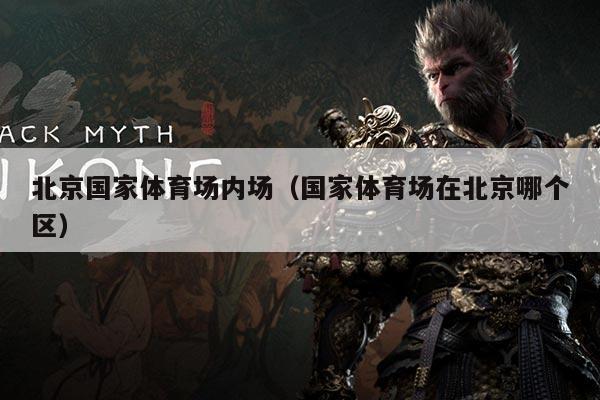 北京国家体育场内场(国家体育场在北京哪个区)