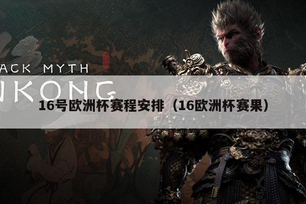 16号欧洲杯赛程安排(16欧洲杯赛果)