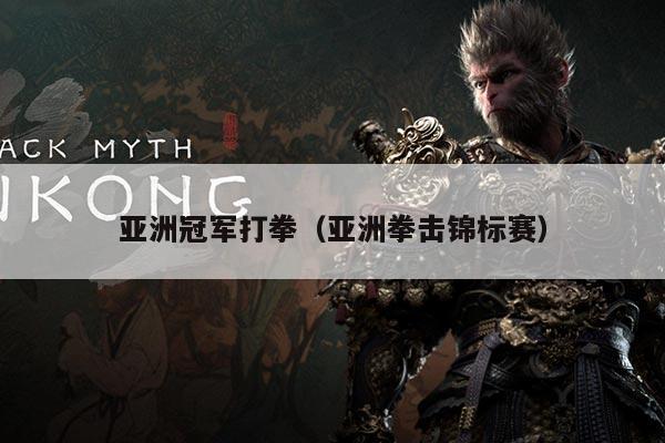 亚洲冠军打拳（亚洲拳击锦标赛）