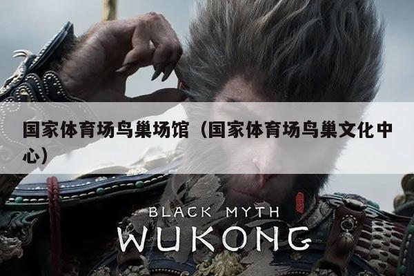国家体育场鸟巢场馆(国家体育场鸟巢文化中心)