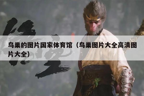 鸟巢的图片国家体育馆（鸟巢图片大全高清图片大全）