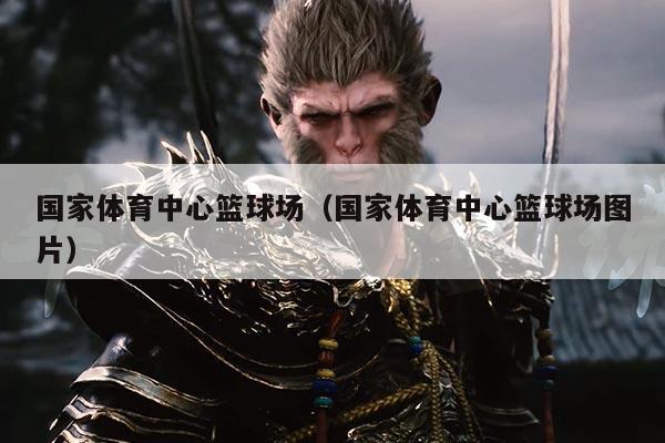 国家体育中心篮球场(国家体育中心篮球场图片)