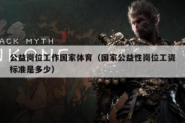 公益岗位工作国家体育(国家公益性岗位工资标准是多少)