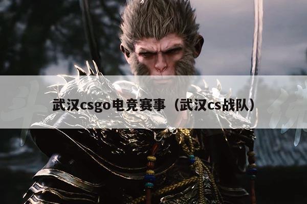 武汉csgo电竞赛事（武汉cs战队）