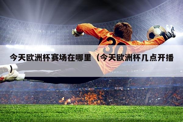 今天欧洲杯赛场在哪里（今天欧洲杯几点开播）